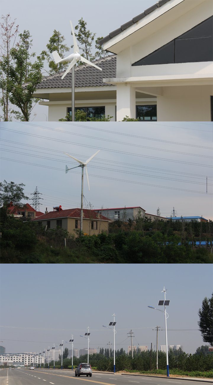 1kw Vertical Axis Wind Turbine Wind Turbine Vertical
