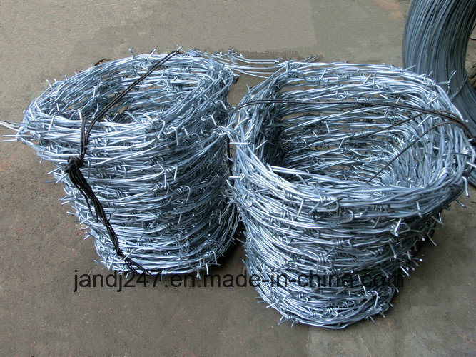 PVC Coated Hot Dipped Galvanized Barbed Wire