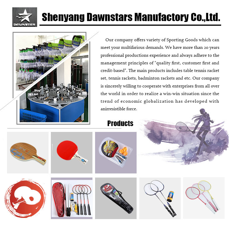 Wholesale High Quality Cheap Price Customized Logo Ping Pong Table Tennis Paddles