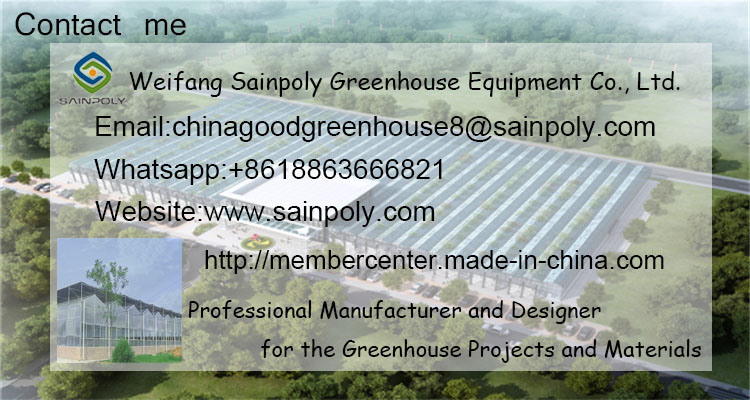 Low Price Glass Agriculture Greenhouse Equipment