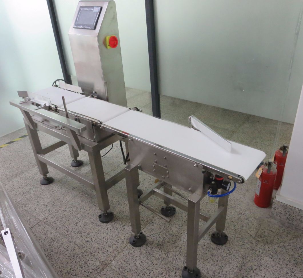 Food Package Conveyor Check Weigher Machine