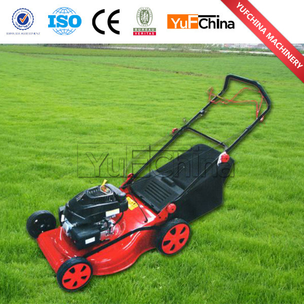 Engine Riding Lawn Mower for Sale