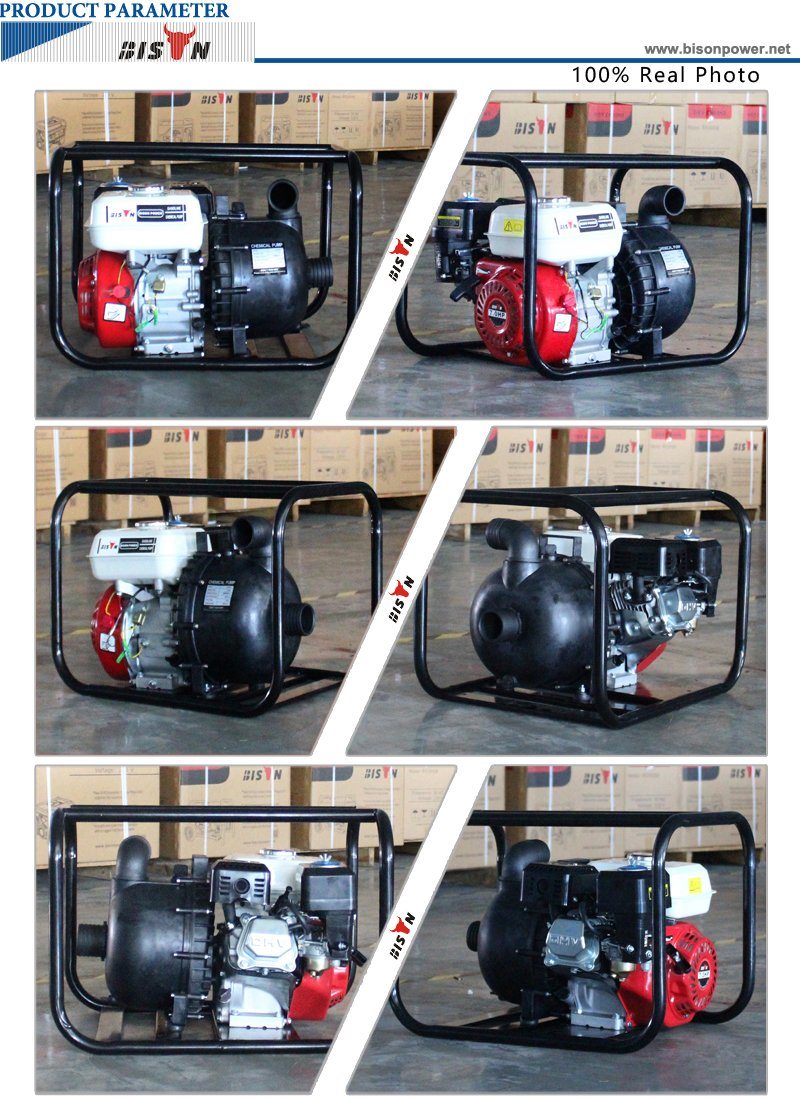 Bison (China) Bscwp20 2inch High Pressure High Qualtiy Pump Body Single Cylinder Water Pump Fish Farm