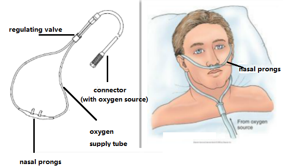 types of nasal cannula