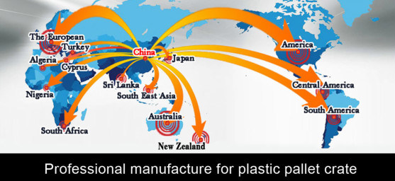 High Quality Logistics Turnover Plastic Baskets for Eggs