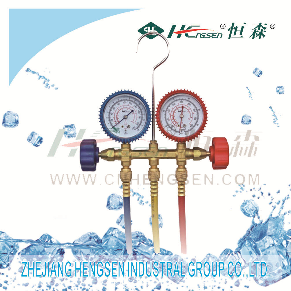 Manifold Gauge Sets With36