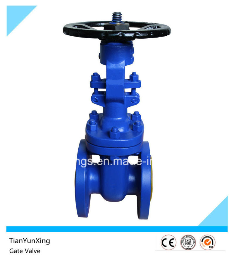 DIN OS&Y Bolt Bonnet Flanged G25 Wedge Gate Valve