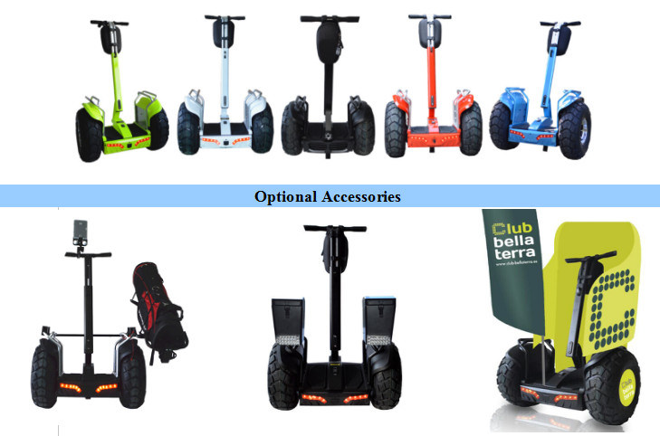 2018 Ecorider Hot Sale Lithium Battery E-Scooter Two Wheel Smart Balance Electric Golf Cart Scooter