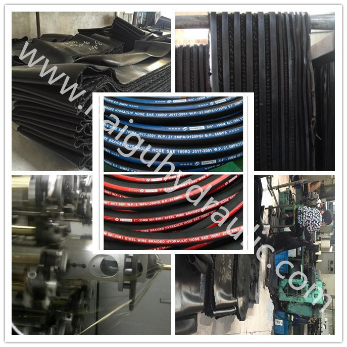 China Factory Anti Static Fuel/Diesel Dispensing Hose for Petroleum Pump/Dispenser/Bowser Service Station