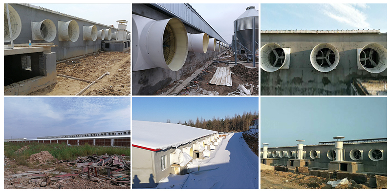 Ec Motor Industrial Wall Mounted Ventilators in Poultry House Pig House