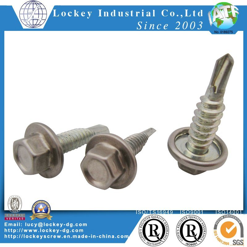 Stainless Steel 316 Hex Washer Head Self Drilling Screw