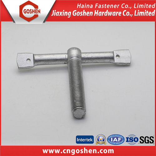 Steel Gr8.8 Hex Bolt / Wing Bolt / T Bolt / Flange Bolt / Carriage Bolts