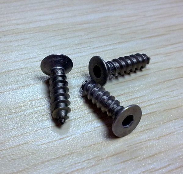 Torx Socket Head Machine Self Tapping Security Screw