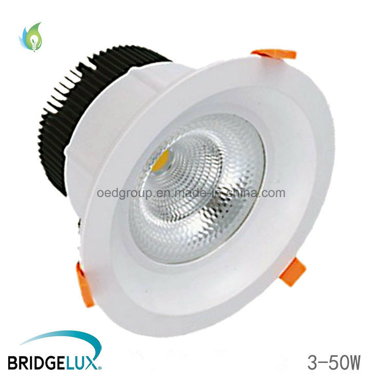 Recessed COB LED Down Lights 50W AC85-265V Ceiling Spot Lamps