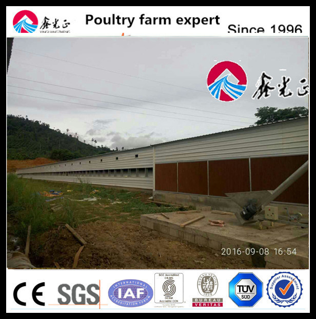 ABS Material Chicken Plastic Slat Flooring System