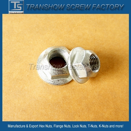 Prevailing Torque Self Locking Hex Nut