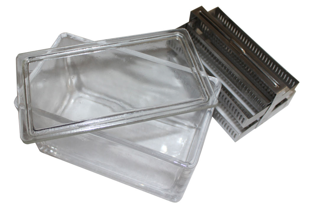 Mslsdt01 Laboratory Use Slide Staining Dish Tray