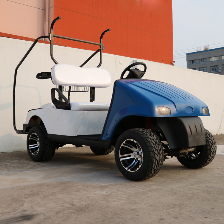 New Model 2 Passengers Chinese Mini Electric Golf Carts