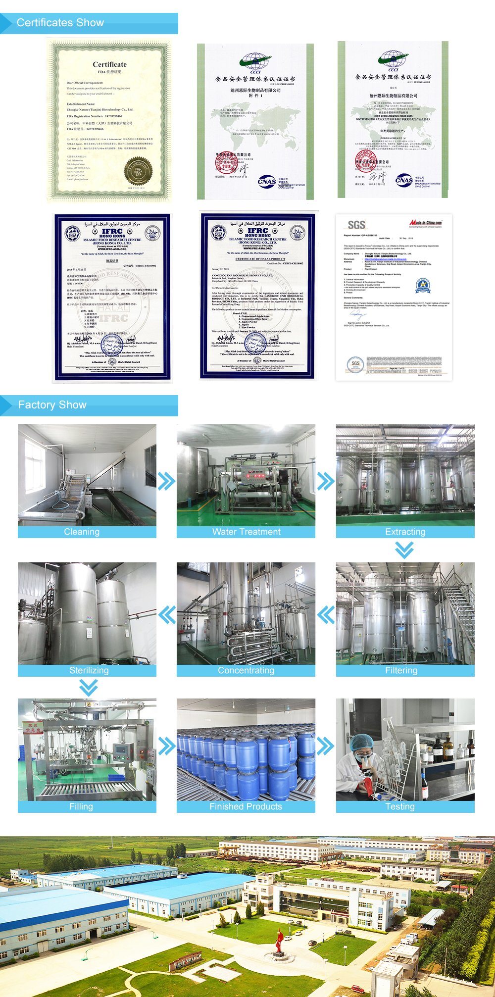 Extract Juice Concentrate From Fresh Wolfberry