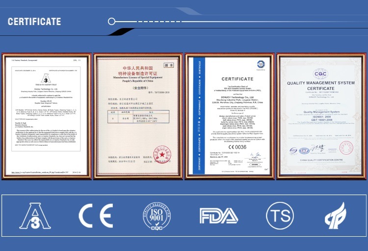 Sanitary Ss 304 Threaded Check Valve Spring Control Valve