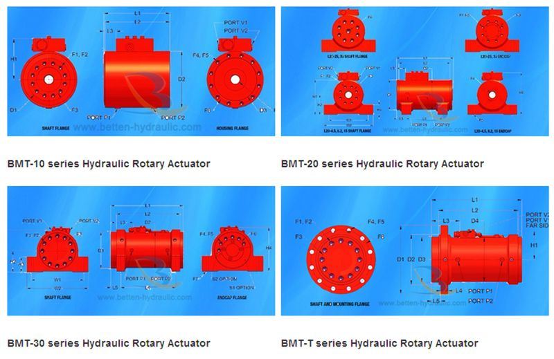 Custom Standrard and Non-Standard Rotary Hydraulic Cylinder