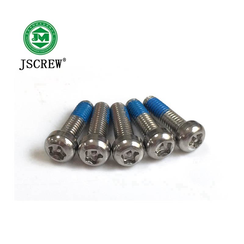 Customized Torx Head Nylok Security Machine Screw for Hand Tool