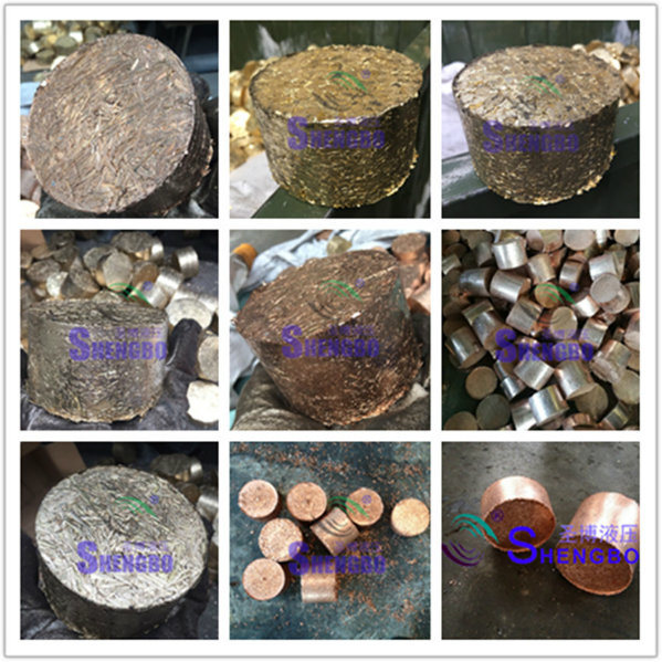 Scrap Copper Powder Shavings Briquetting Machine (CE)