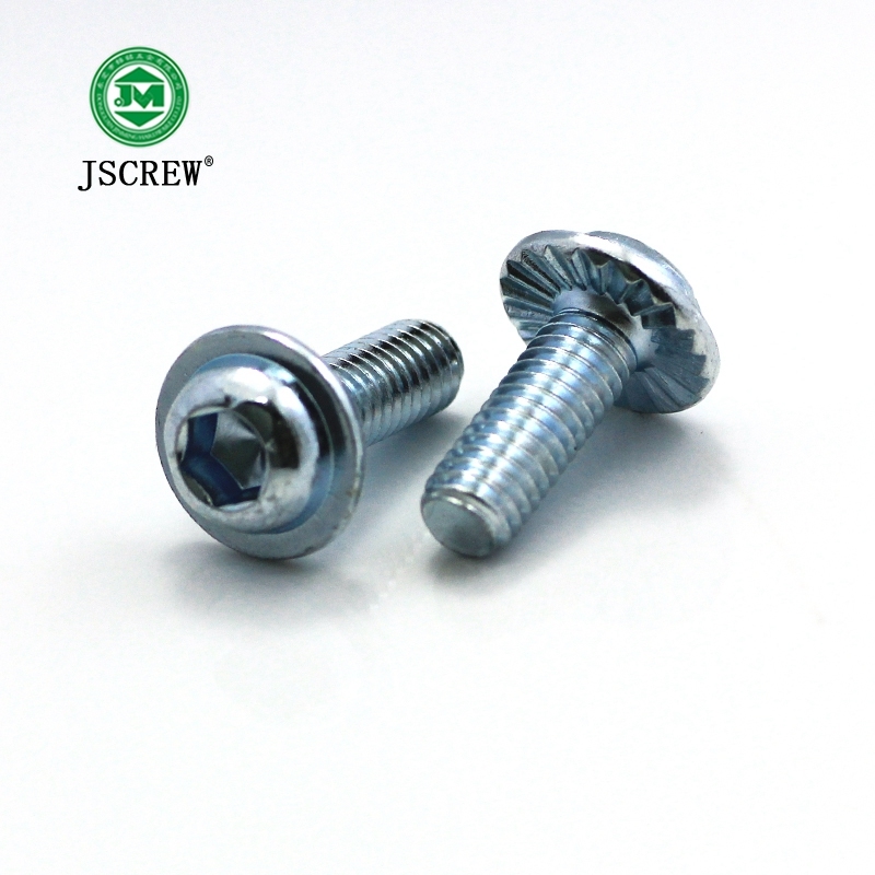 China Factory Making High Tension Decorative Bolts M4.5
