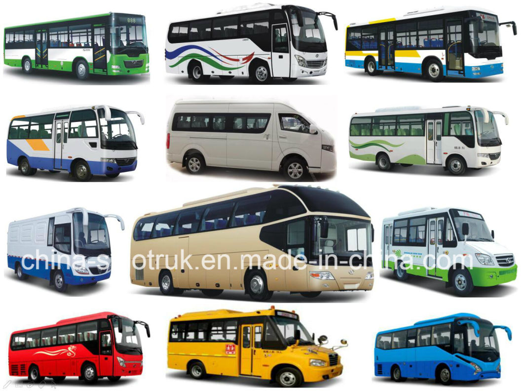 Hot Sale China School Bus of Sinotruk with Best Quality