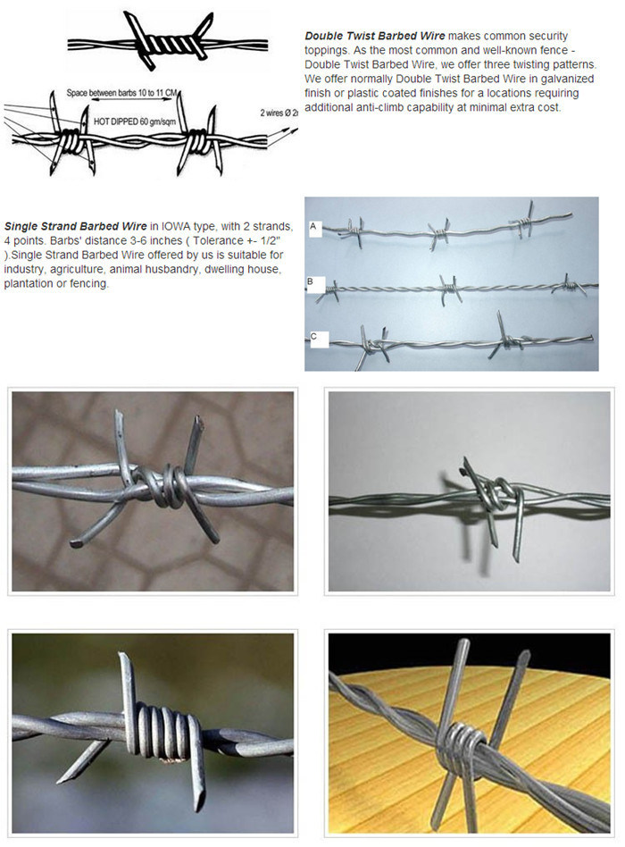 Galvanized or PVC Coated Concertina Razor Barbed Wire for Protecting