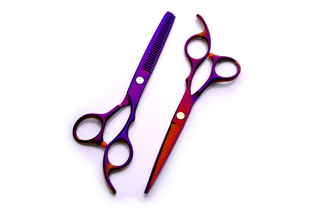 6inch Pet Dog Beauty Hairdressing Salon Hair Shears Kit