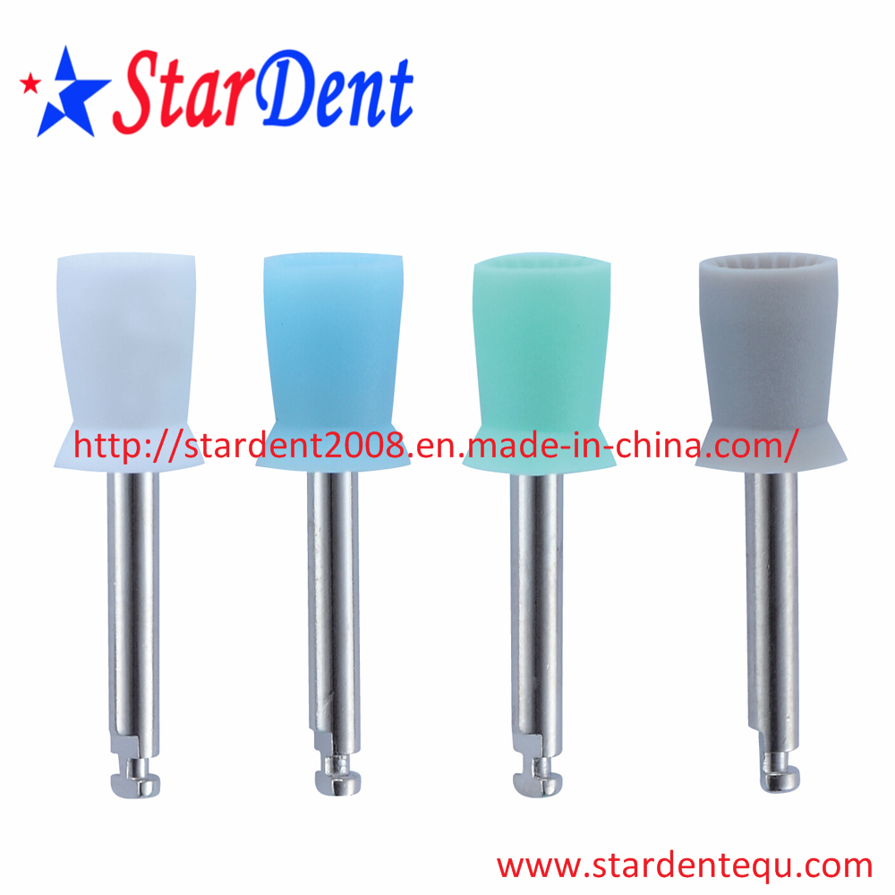 Disposable Prophy Brushes Factory of Dental Hospital Medical Lab Surgical Diagnostic Equipment