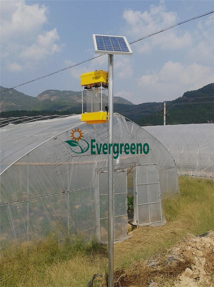 Solar Frequency Vibrational Insecticidal Lamp