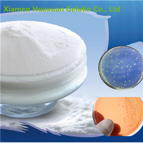 Animal Peptone Powder for Microbiology