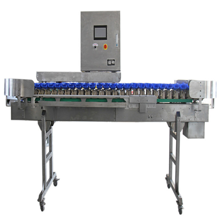 Best Performance Check Weight Sorting Machine