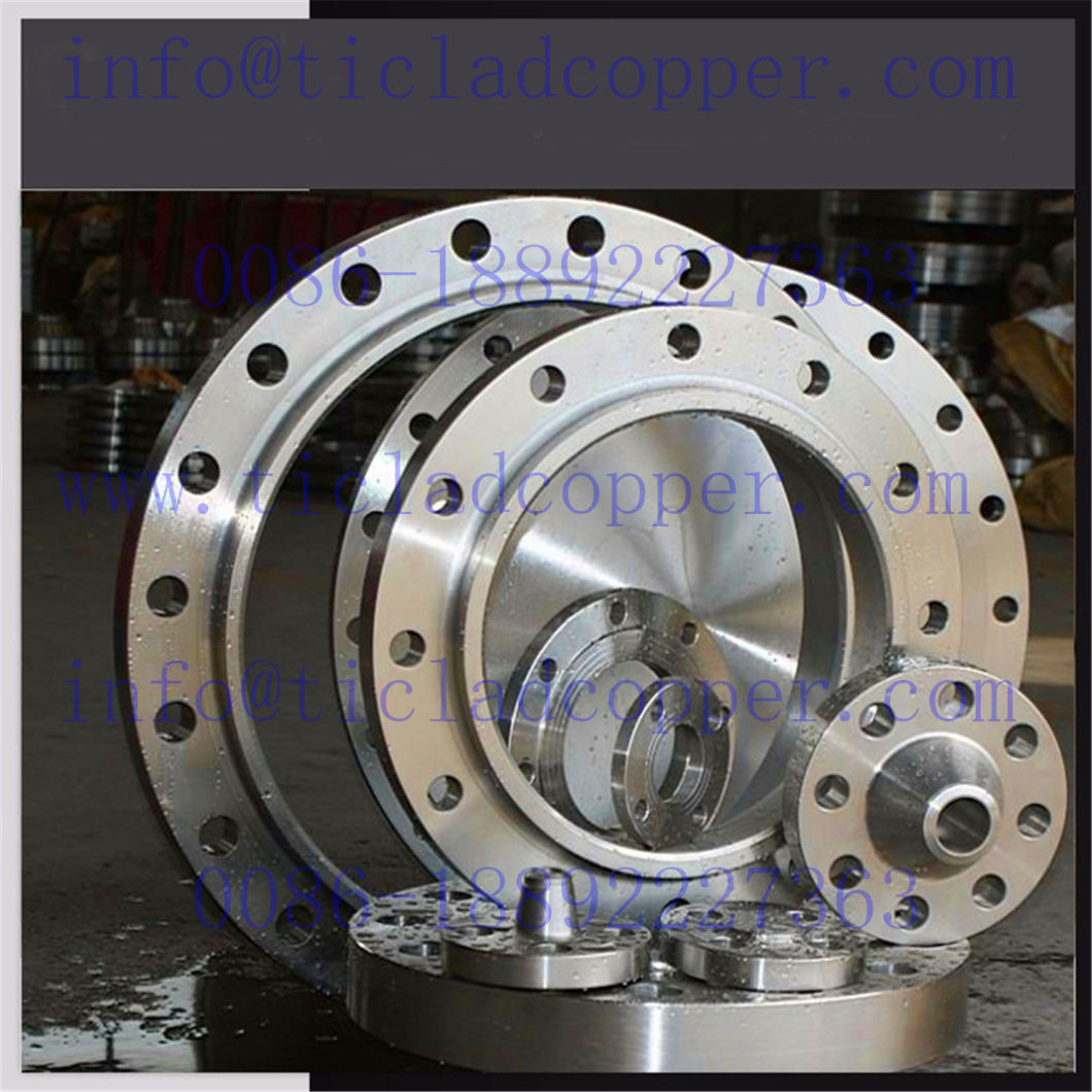 ASME Titanium Flange