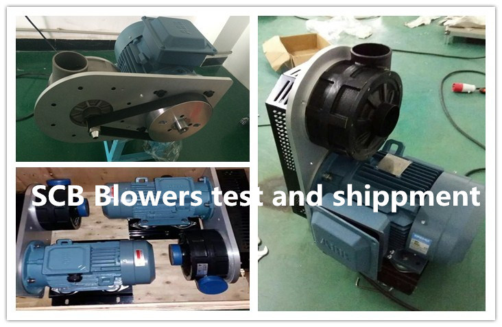 50 & 60Hz Vacuum Air Pump (Belt-driven blower) for Drying System