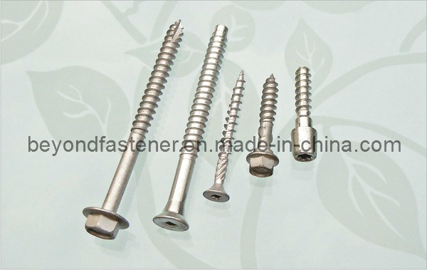 Drywall Screw Collated Screw Fasteners