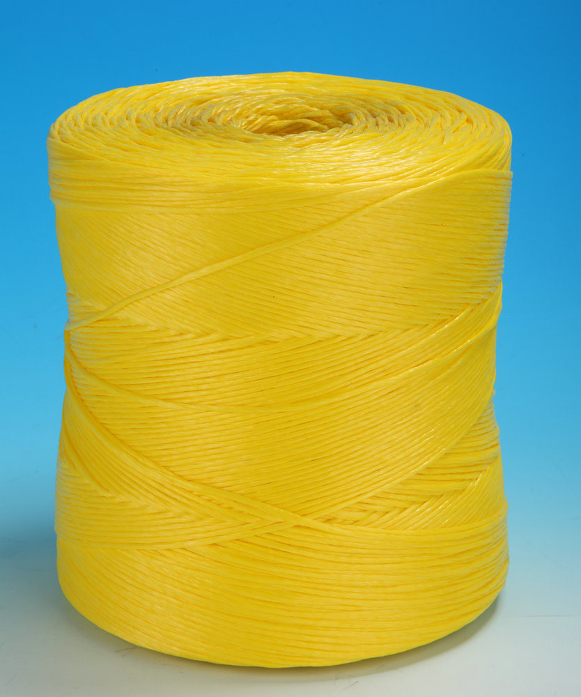 6mm Low Price PP Packing Rope (ISO, SGS)