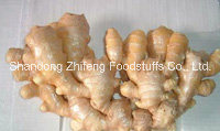 Top Quality Air Dry Ginger