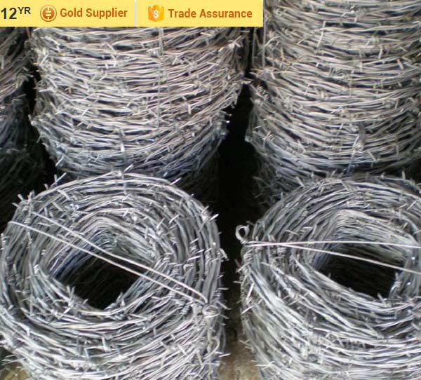 Hot Dipped Galvanized Double Barbed Wire