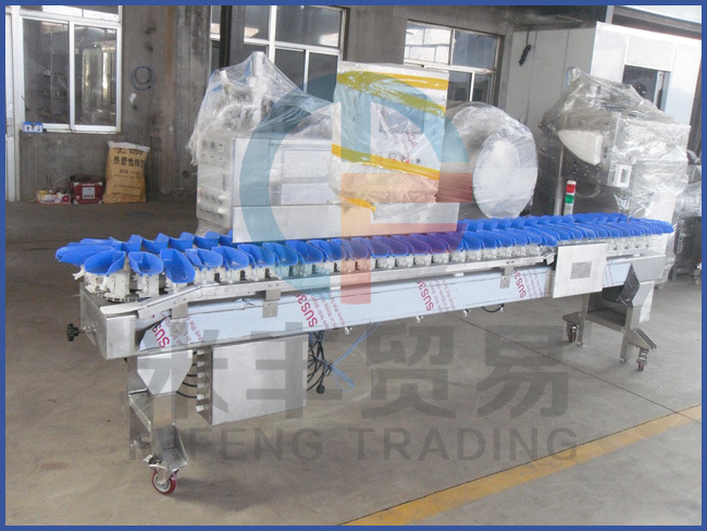 Economic Weight Sorting Machine for Fish and Seafood