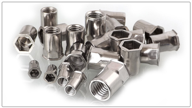 Stainless Steel Small Countersunk Head Hex Rivet Nut