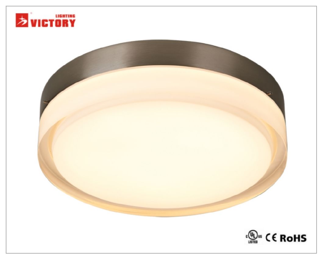 Round Brush Glass Surface Mount LED Ceiling Lamp