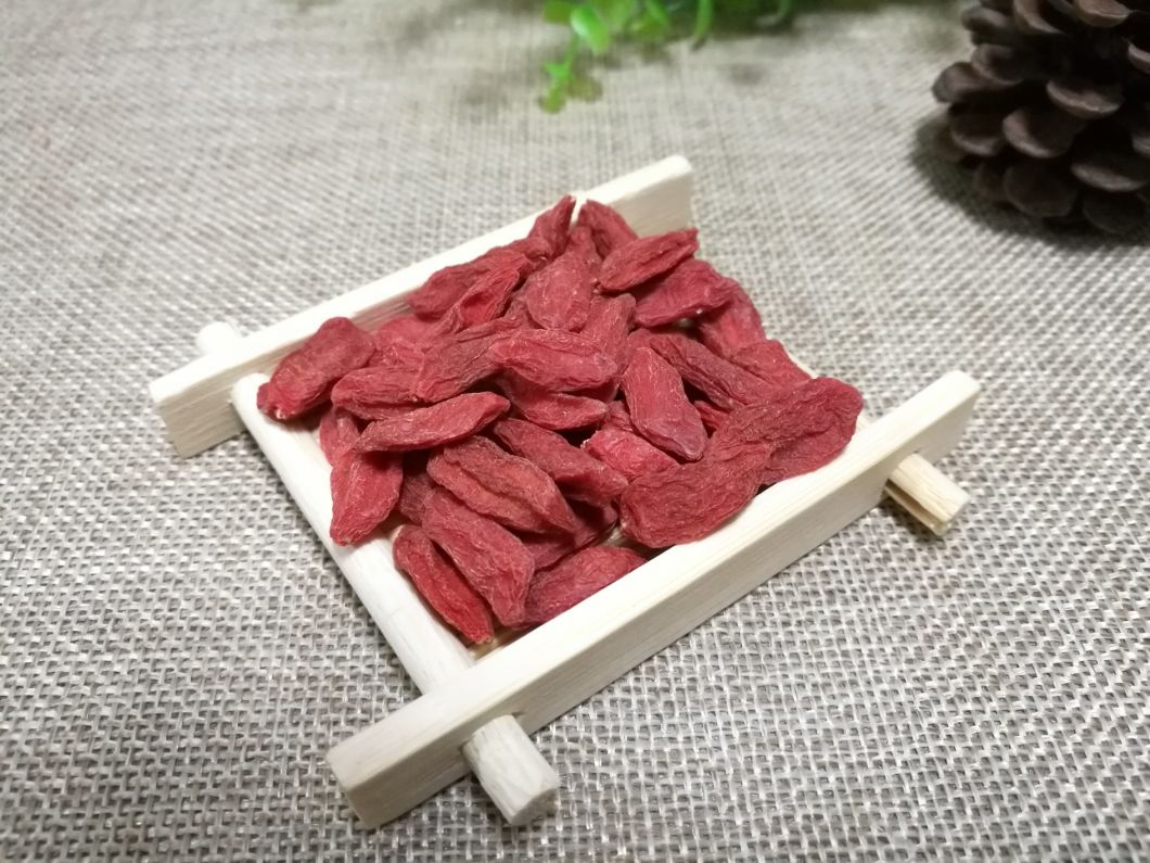Hot Sale Dried Goji Berry From China