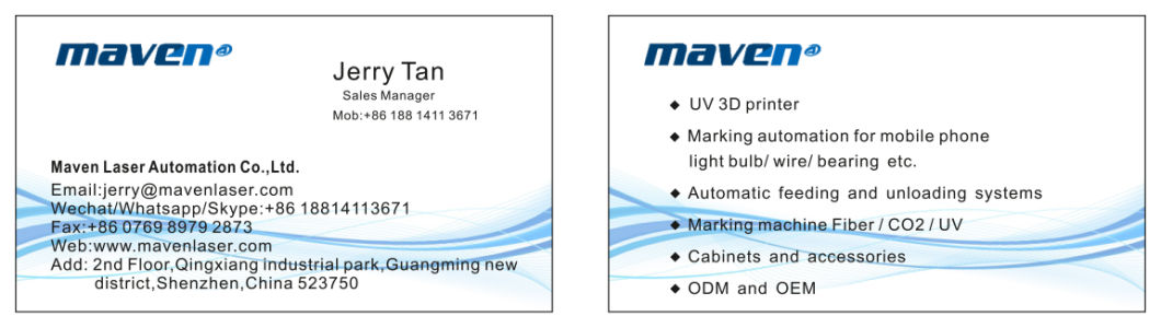 Metal/Non-Metal Customized Automation CO2 Flying Laser Engraving/Package Printing Machine for Labeling/Coding