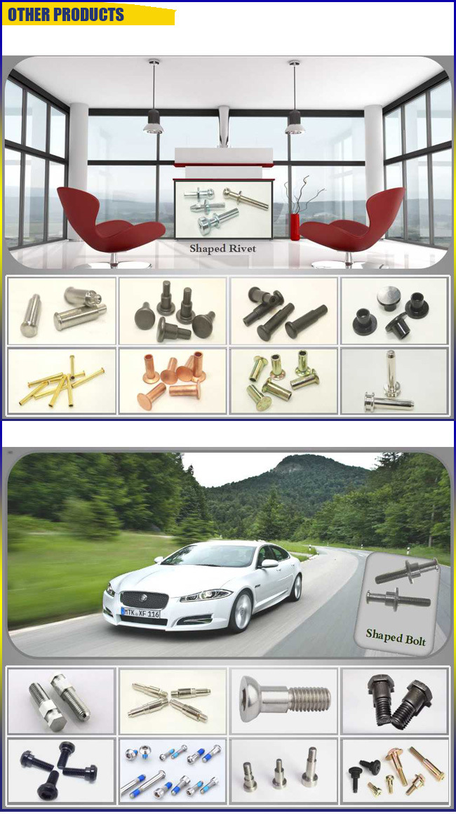 Wholesale Customized Nut for Car Accessories
