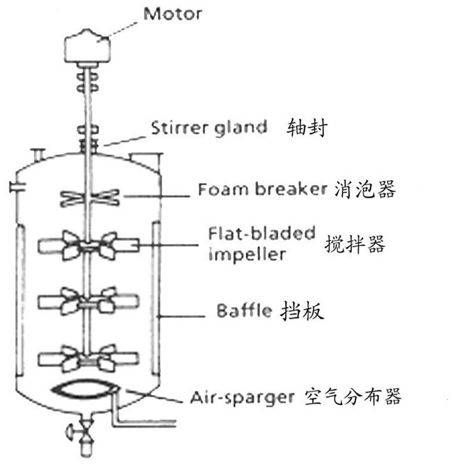 Stainless Steel Biological Pilot Fermenter Tank for Bacterial Yeast Beer Yogurt