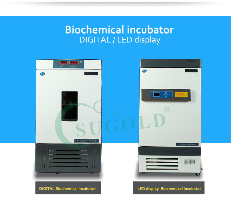 High Quality LCD display Biochemical Incubator