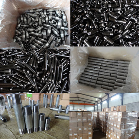 ASTM A53 Carbon Steel Hot Dipped Galvanized Pipe Nipples